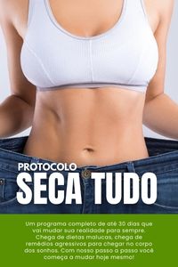 Protocolo Seca-Tudo